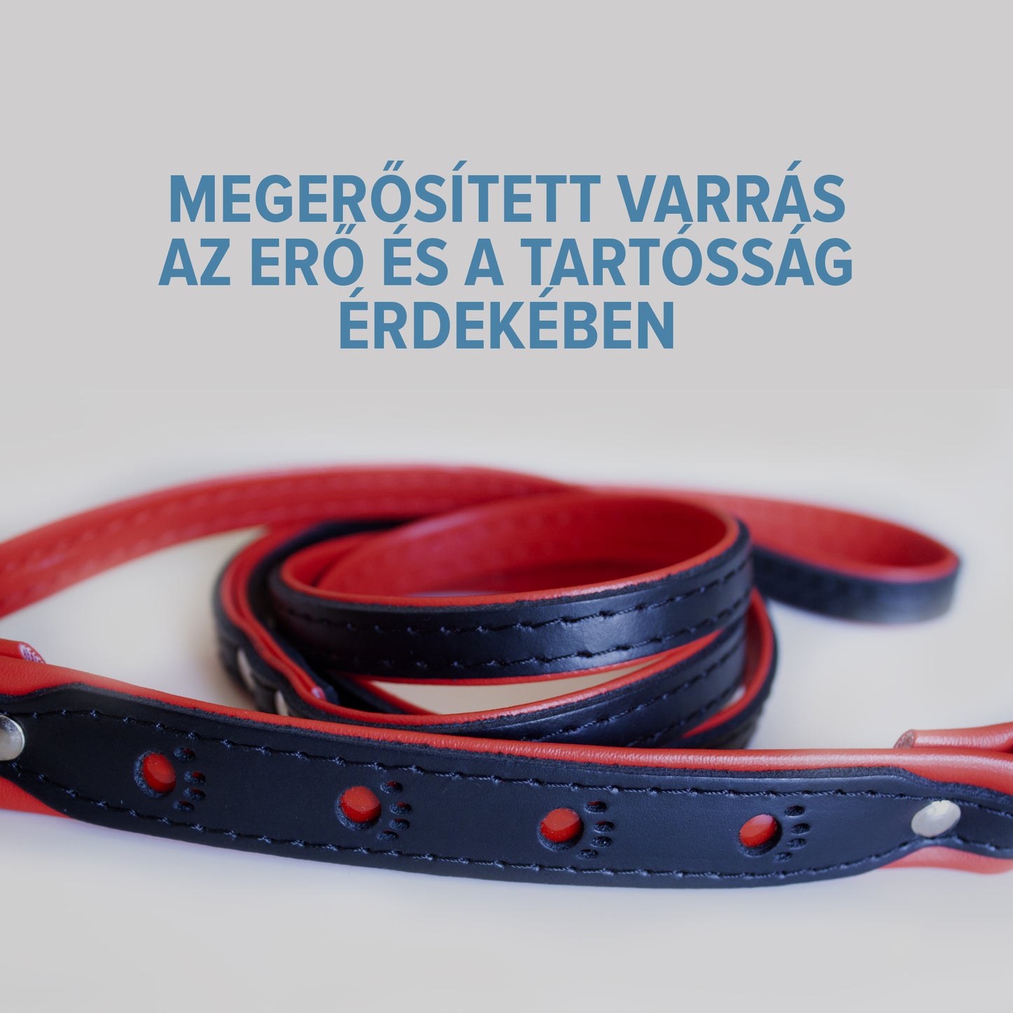 Fényvisszaverő bőr póráz - kontrasztos színekkel - Corspet Hungary