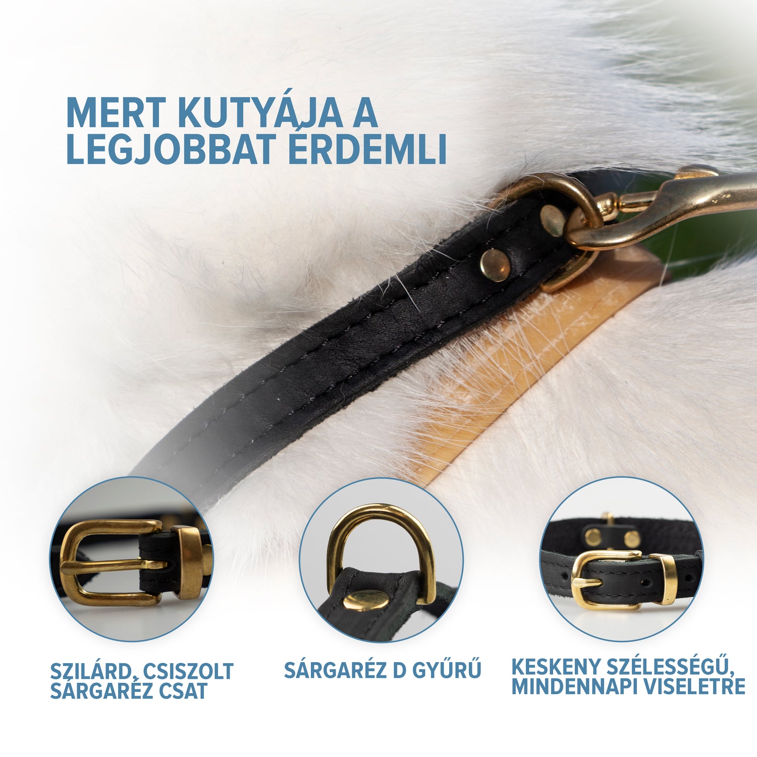 kutya nyakörv, fekete nyakörv, bőr kutya nyakörv, kuty anyakörv bőr, egyedi kutya nyakörv, kézzel készült nyakörv, macska nyakörv, kölyök kutya nyakörv,