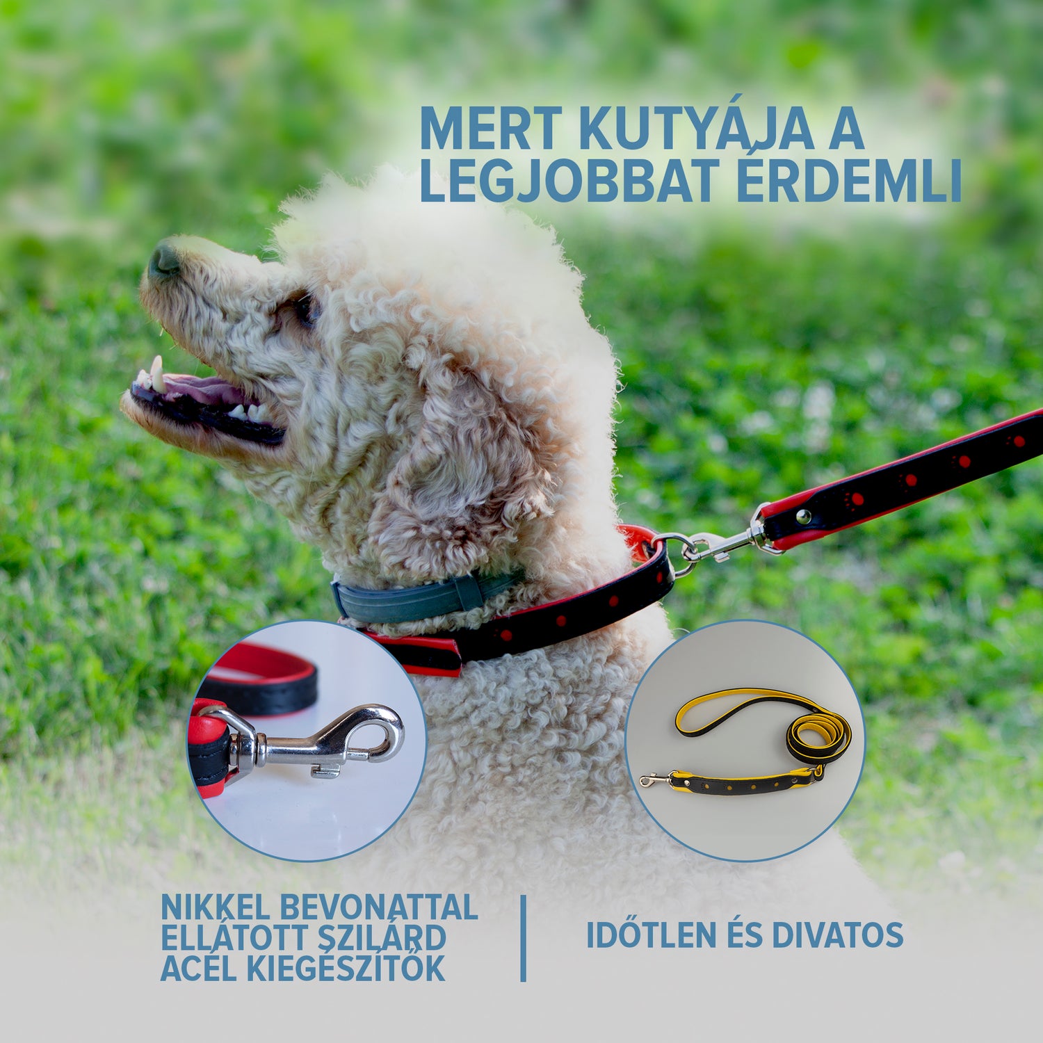 Fényvisszaverő bőr póráz - kontrasztos színekkel - Corspet Hungary
