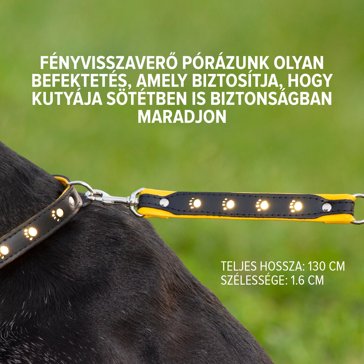 Fényvisszaverő bőr póráz - kontrasztos színekkel - Corspet Hungary