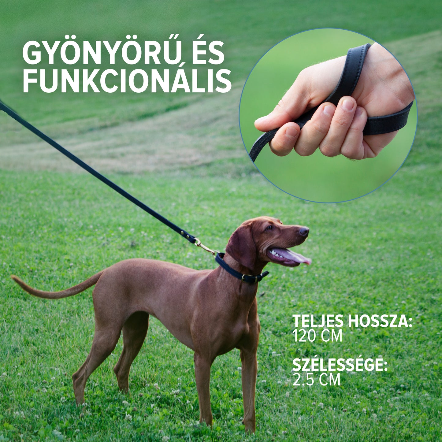 kutya póráz és nyakörv, bőr póráz, kutya póráz, macska póráz, póráz, egyedi póráz, kézzel készült póráz, fekete póráz, méteres póráz, póráz nyakörvvel, hosszú póráz