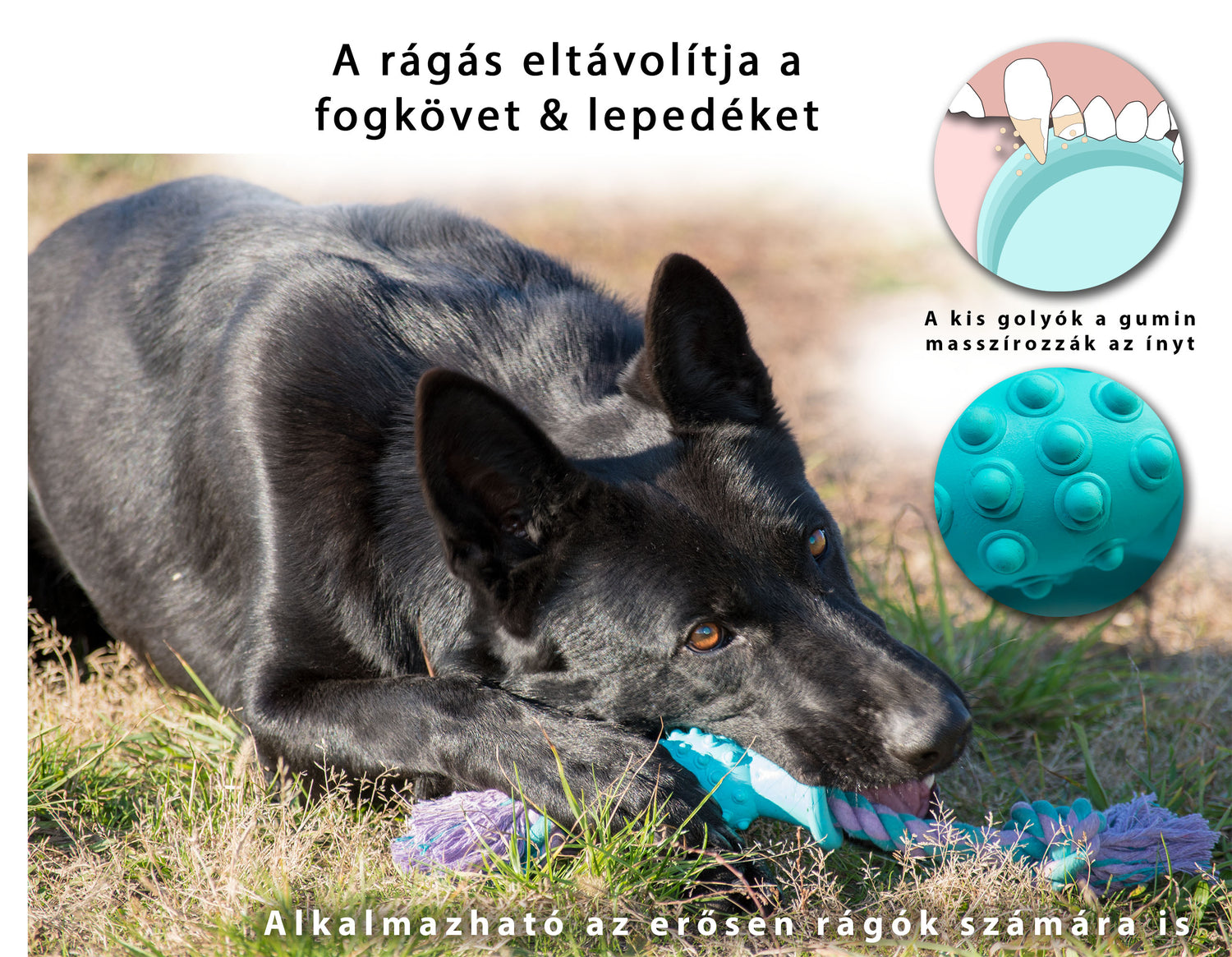 játékok kutyáknak, kötél játék,kutya felszerelés , kutya játékok, kutyajáték,kutya labda,kong kutyajáték, strapabíró játék, kutya logikai játék,